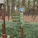 유정식당 이미지