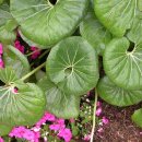 연봉초등학교 이미지