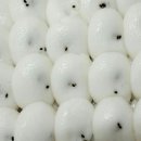 떡가람 이미지