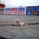 학동주유소 이미지