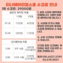 티나에어리얼스쿨