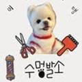 멍발소 이미지