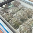 주정차단속-132 | [제주 대복해장국 후기] 김녕 로컬들이 찾는 아침 해장국집