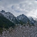 Barclay Lake / Baring Mountain 이미지