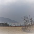 산성시장11 이미지