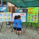 사천초등학교 이미지