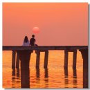 노을 카카오 검색결과