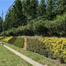 개화동로 이미지