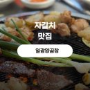 자갈치양곱창 - 김해시 번화1로76번길 24 | 부산 남포동 맛집 일광양곱창 ㅣ 자갈치 양곱창 40년 전통 솔직후기 블루리본 5년 연속