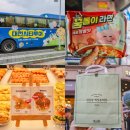 나주시티투어버스 | 대전 빵시투어 성심당 하레하레 등 시티투어버스 예약 및 후기