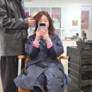 또롱♬ 성신여대미용실 데생헤어 성신여대 본점 기린디자이너 단발 레이어드 C컬펌