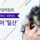 케이모찌 이미지