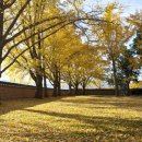 ㈜한국교통(마을버스) 이미지