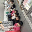 운천태권도 이미지