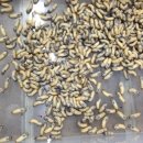 베스트농장 이미지