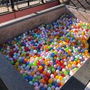 참사랑홈파티스스튜디오울산범서점 | 울산 범서 애견카페·애견운동장 뛰어놀기 좋은 '겟프리(ger free)' feat.우리집 강아지 인생샷이 찍고...