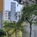 U.보라작은도서관 이미지