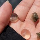 비안도수산 이미지