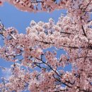 한정신과의원 앞 이미지