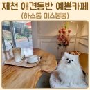 미스봉봉