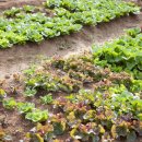 아리채요양병원 이미지