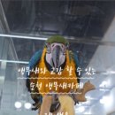 레인보우앵무새카페