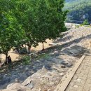 충주 삼탄유원지 (무료 캠핑장) 후기 🌲