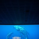 CGV 천호 1관 이미지