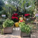 성주군농업기술센터 | 겨울 속에 숨겨진 초록빛 비밀 정원/ 성주군 농업기술센터 원예힐링관