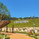 수정산 꿈자람터 이미지