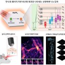CW메디칼 이미지