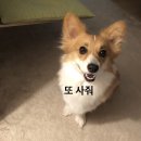 진등5길 이미지