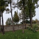 도원공원 내 이미지