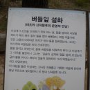 강비
