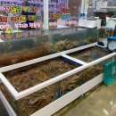 일출횟집 이미지