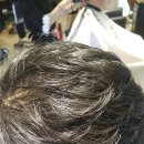 박찬순헤어