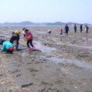 노을지는갯마을 이미지