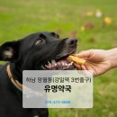 빠른대학약국 이미지