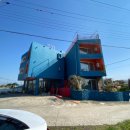 함비자 게스트하우스 | [제주 함덕] 제주 함비자게스트하우스 직접 다녀온 후기