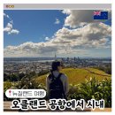 공항슈퍼 | 뉴질랜드 오클랜드 공항에서 시내 가는 법 비교 슈퍼셔틀 예약 후기