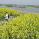 나주홍어 Daum카페