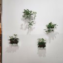 맏내제 | 전주여행] 전주역사박물관 국립전주박물관 국립무형유산원 한벽당 동고사 완산칠봉 순교자기념성당