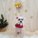 뚜니살롱 이미지