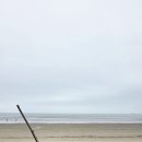 솔모랫길 이미지