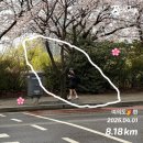 신길공원 | 여의도 고구마런 8km 후기 - 신길역/여의도역 출발루트 (gpx파일, 사용법 포함)
