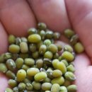 기담농장 이미지