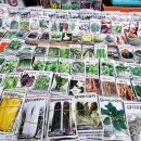 제주시민속오일시장 이미지