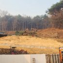 수목 - 옥천군 삼금로 48 | 수목