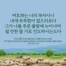7월 24일 목요일 이미지