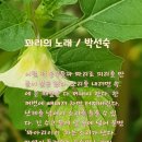 산수유아뜰리에 이미지